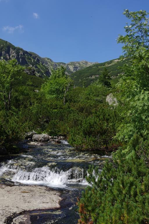 Studio Livia Vysoké Tatry Dış mekan fotoğraf