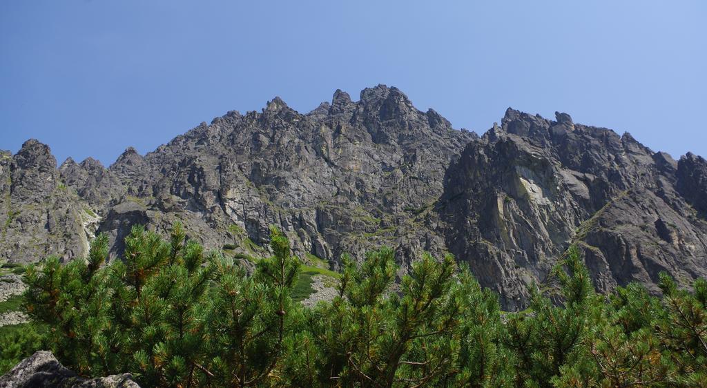 Studio Livia Vysoké Tatry Dış mekan fotoğraf