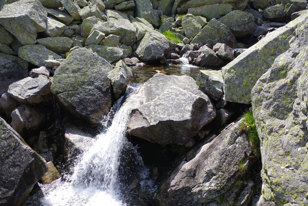 Studio Livia Vysoké Tatry Dış mekan fotoğraf
