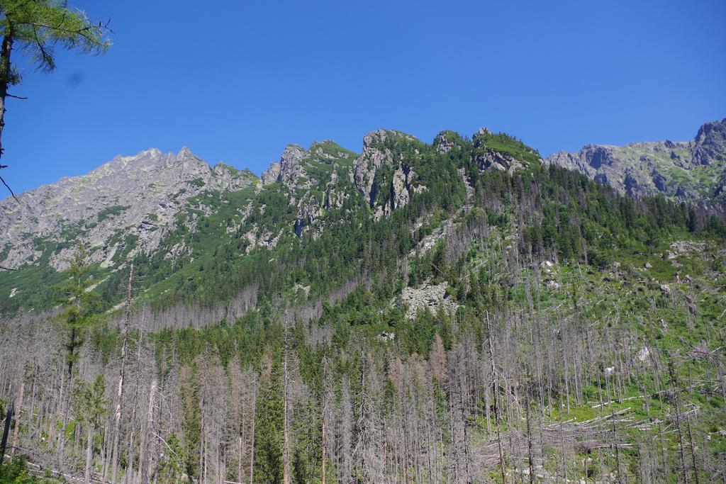 Studio Livia Vysoké Tatry Dış mekan fotoğraf